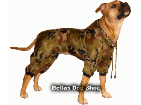 bitte darauf klicken